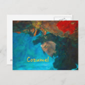 コズメルコーラルリーフ ポストカード (正面/裏面)