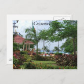 コズメルトロピカルパームツリー ポストカード (正面/裏面)