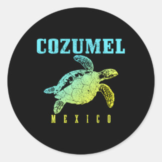 コズメルビーチメキシコシータートルサーファースキューバディヴィン ラウンドシール