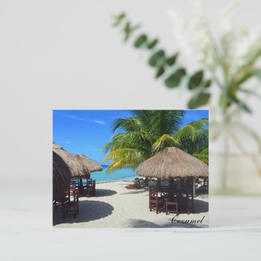 コズメルメキシコビーチハットパームツリーティール（緑がかった色）ウォーターバカ ポストカード (スタンド正面)