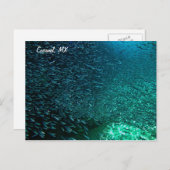 コズメルメキシコ ポストカード (正面/裏面)