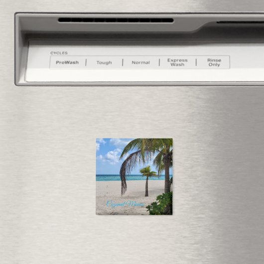 コズメルメキシコ マグネット (インサイチュ (食洗機))