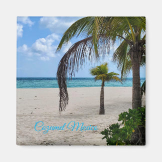 コズメルメキシコ マグネット