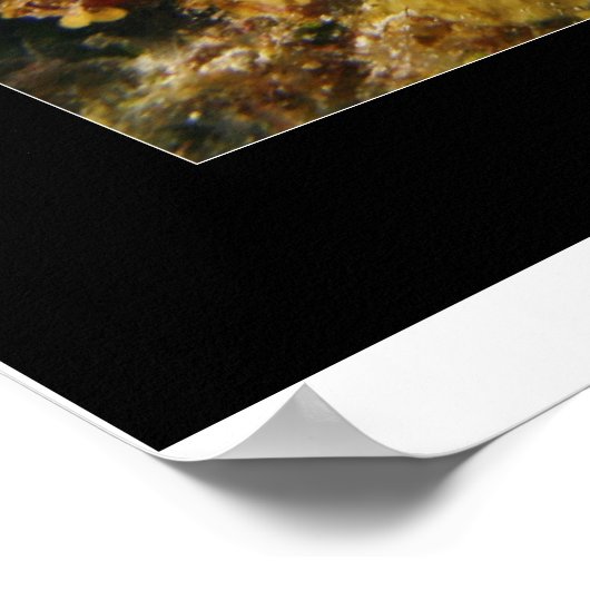 コズメルリーフ ポスター (角)