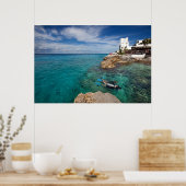 コズメル学メキシコ、スキューバダイビングへ ポスター (キッチン)