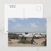 コズメル東海岸 ポストカード (正面/裏面)