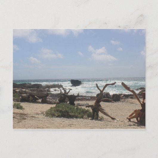 コズメル東海岸 ポストカード (正面)