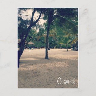 コズメル葉書 ポストカード