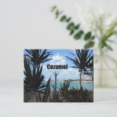 コズメル ポストカード (スタンド正面)