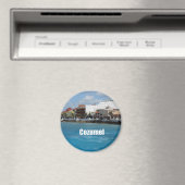 コズメル マグネット (インサイチュ (食洗機))