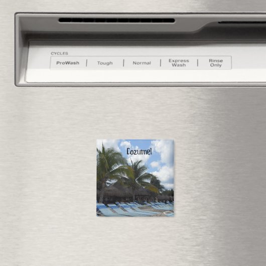 コズメル マグネット (インサイチュ (食洗機))