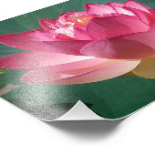 コダックプリントピンクロータス フォトプリント            (角)