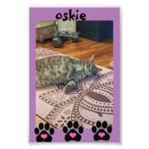 コダックプロフェッショナルフォト紙（サテン）