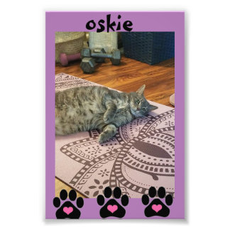 コダックプロフェッショナルフォト紙（サテン） フォトプリント           