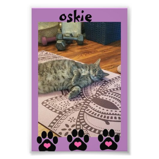 コダックプロフェッショナルフォト紙（サテン） フォトプリント            (正面)