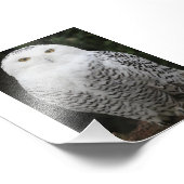 コダックプロフェッショナルフォト紙（サテン） フォトプリント            (角)