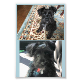 コダックプロフェッショナルフォト紙（サテン） フォトプリント           