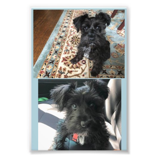 コダックプロフェッショナルフォト紙（サテン） フォトプリント            (正面)