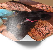 コダックプロフェッショナルフォト紙（サテン） フォトプリント            (角)