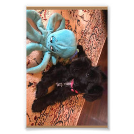 コダックプロフェッショナルフォト紙（サテン） フォトプリント           