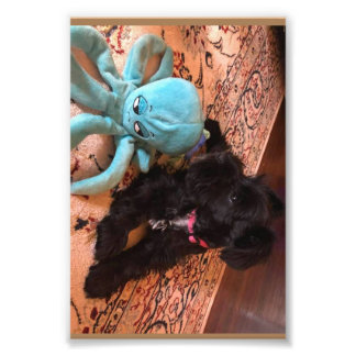 コダックプロフェッショナルフォト紙（サテン） フォトプリント           