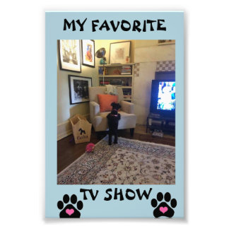 コダックプロフェッショナルフォト紙（サテン） フォトプリント           