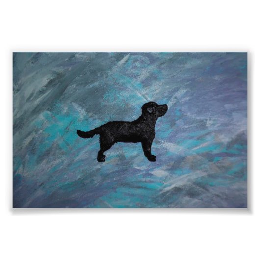 コダックプロフェッショナルフォト紙(Satin)フォトエンラー フォトプリント (正面)