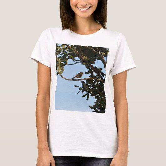 コチドリモドキ Tシャツ (正面)