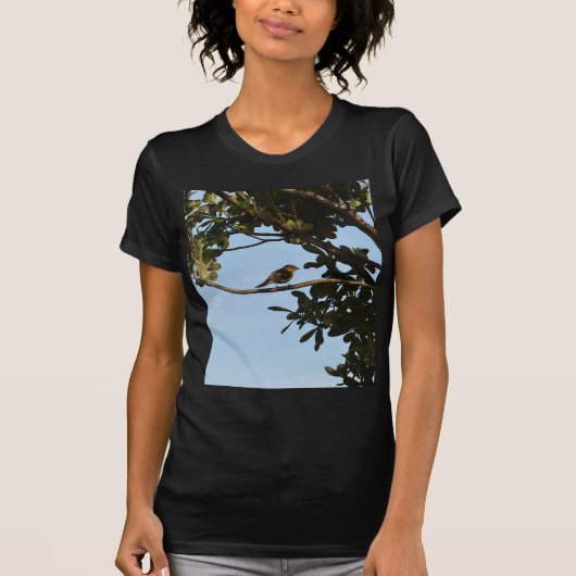 コチドリモドキ Tシャツ (正面)