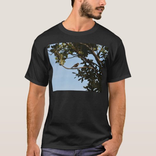 コチドリモドキ Tシャツ (正面)