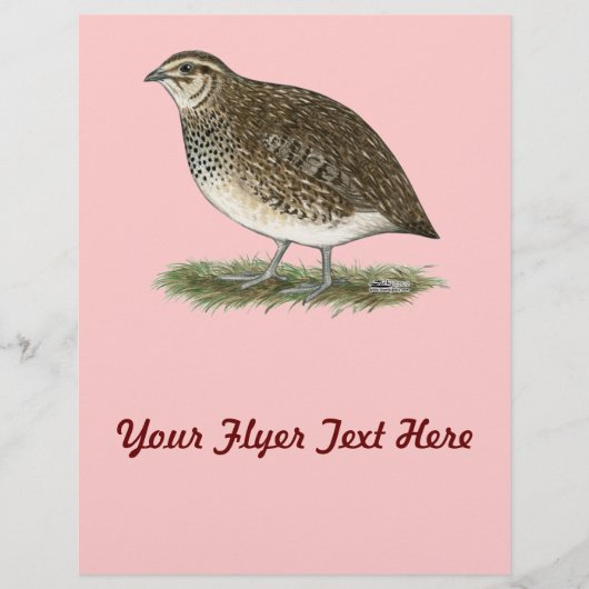 コチューニックスウズラヘン チラシ (正面)