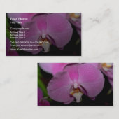 コチョウランの花 名刺 (正面/裏面)