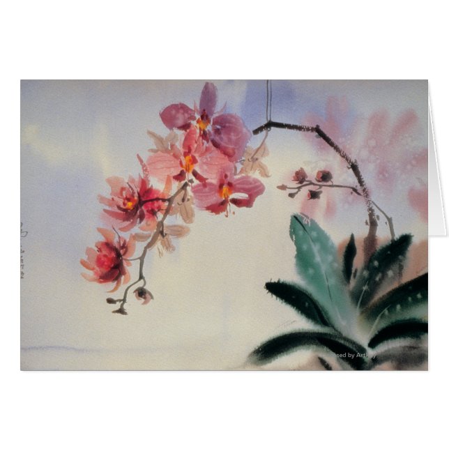 コチョウラン (正面横)