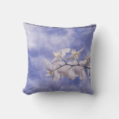 コチョウラン クッション (正面)