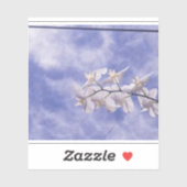 コチョウラン シール (シート)