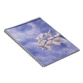 コチョウラン ノートブック (右側)