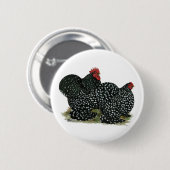 コチンのまだら鶏 缶バッジ (正面&裏面)