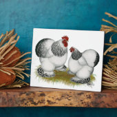 コチンコロンビアバンタム フォトプラーク (側面)