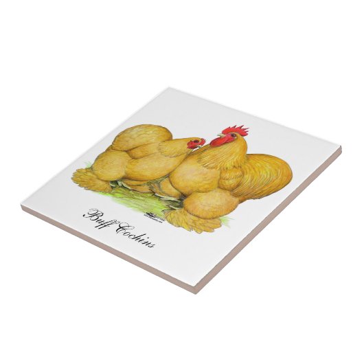 コチンズバフペア タイル (側面)