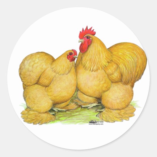 コチンズバフペア ラウンドシール (正面)