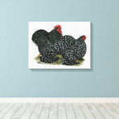 コチン斑の鶏 キャンバスプリント (インサイチュ (ウッドフロア))