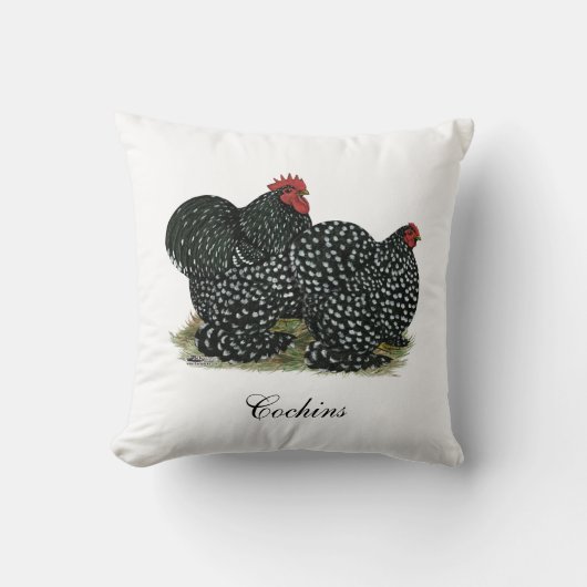 コチン斑の鶏 クッション (正面)