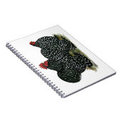 コチン斑の鶏 ノートブック (右側)