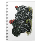 コチン斑の鶏 ノートブック (正面)