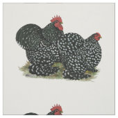 コチン斑の鶏 ファブリック (見本)