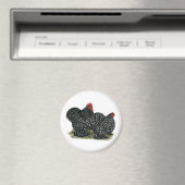 コチン斑の鶏 マグネット (インサイチュ (食洗機))