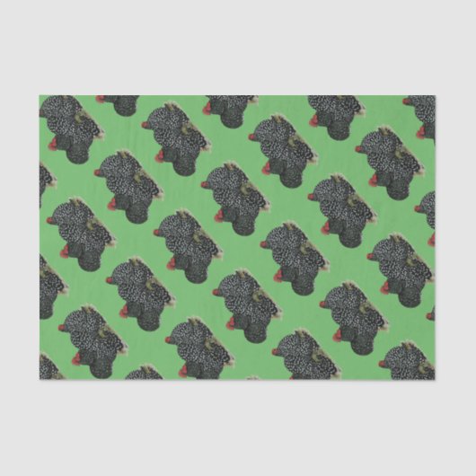 コチン斑の鶏 薄葉紙 (正面)