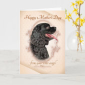 コッおもしろいカースパニエル犬マザーズデイカード カード (黄色い花)