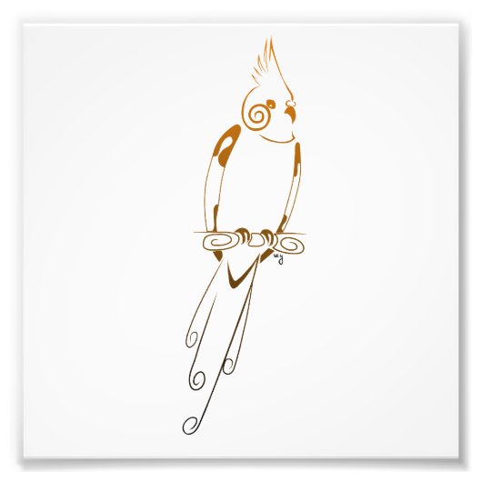 コッカティエル フォトプリント            (正面)