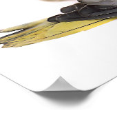 コッカティエ ポスター (角)